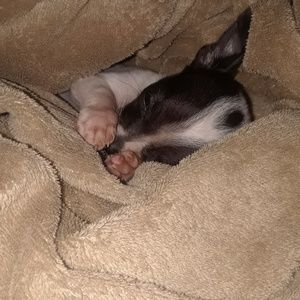 Meet your Posher, Jeffrey